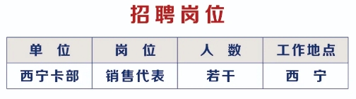 2025年浦發(fā)銀行西寧分行信用卡部銷售代表招聘啟事（5.26）